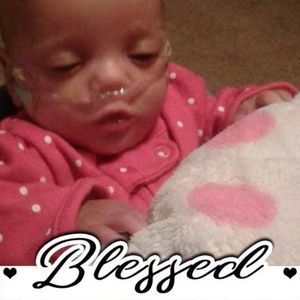 Meet your Posher, Holly